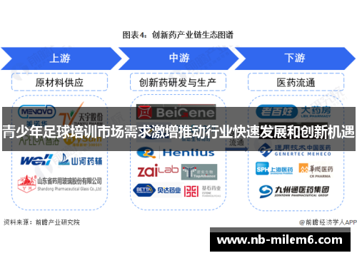 青少年足球培训市场需求激增推动行业快速发展和创新机遇
