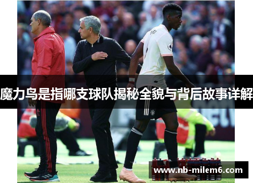 魔力鸟是指哪支球队揭秘全貌与背后故事详解